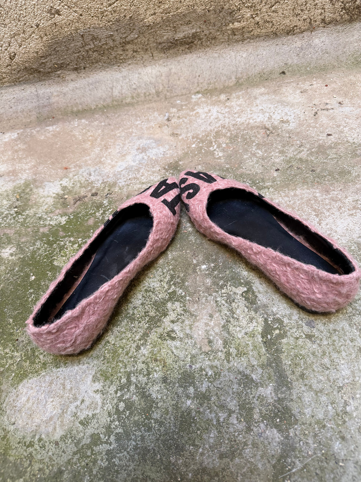 Pointed Toe Graphic Print Ballet Flats